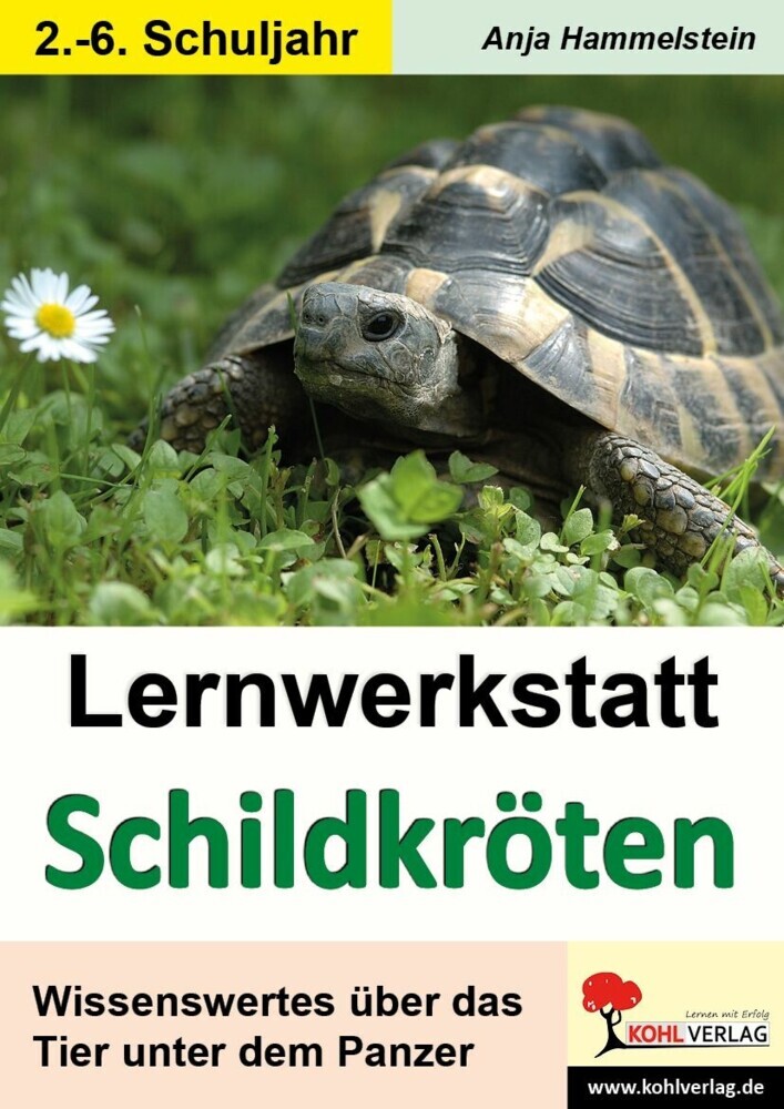 Lernwerkstatt Schildkröten main product photo