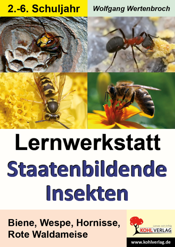 Lernwerkstatt Staatenbildende Insekten main product photo