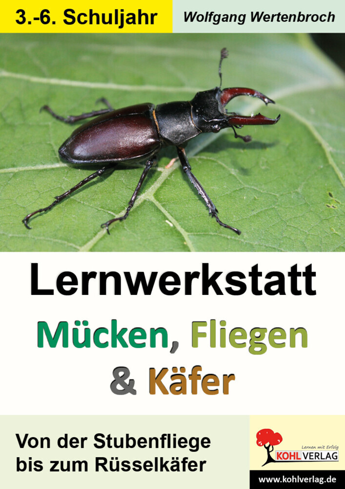 Lernwerkstatt Mücken, Fliegen und Käfer main product photo