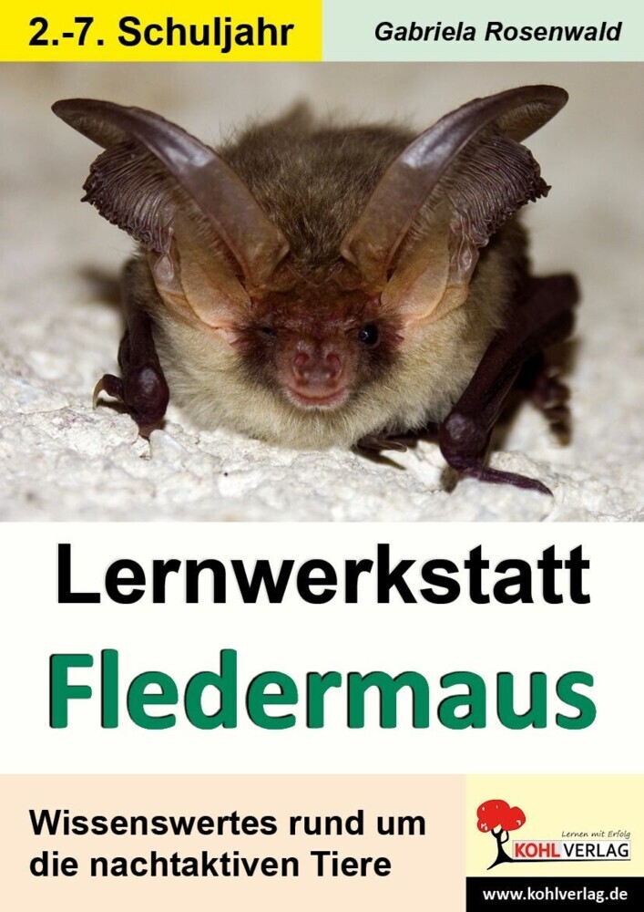Lernwerkstatt Fledermaus main product photo