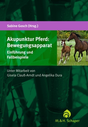 Akupunktur Pferd: Bewegungsapparat