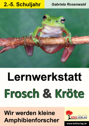 Lernwerkstatt Frosch und Kröte
