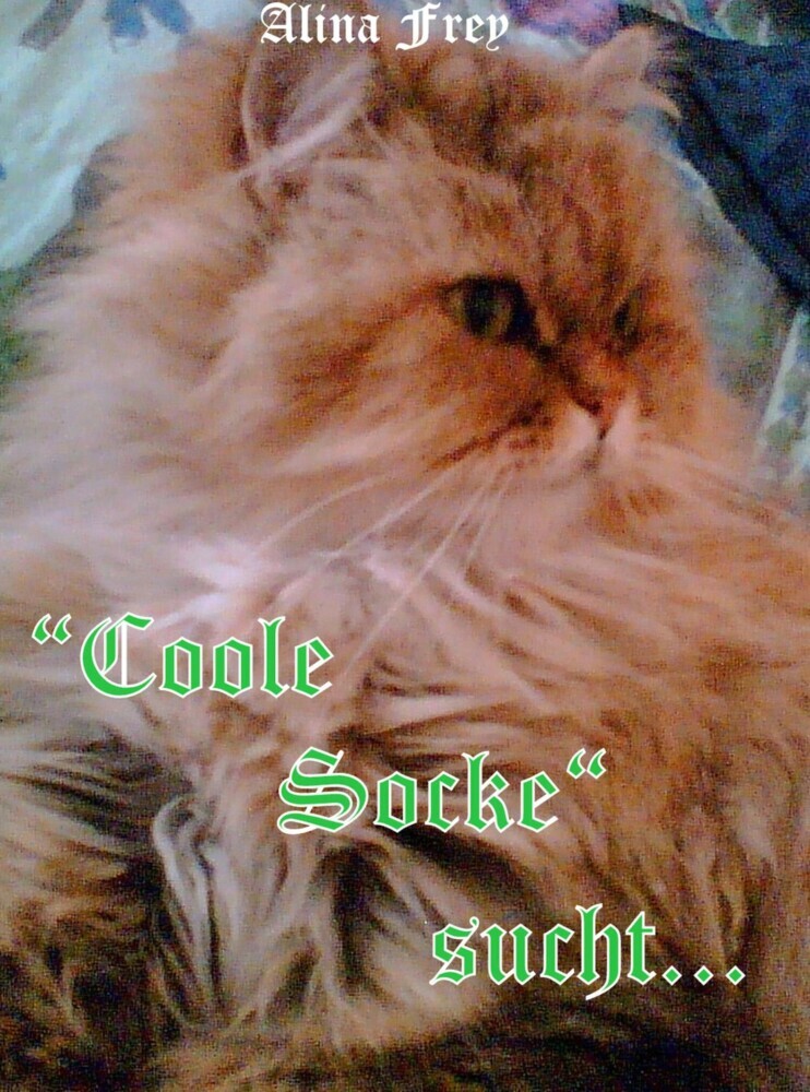 'Coole Socke' sucht... main product photo
