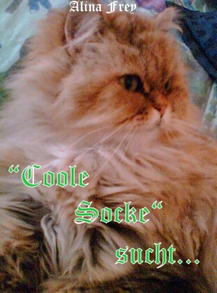 'Coole Socke' sucht...