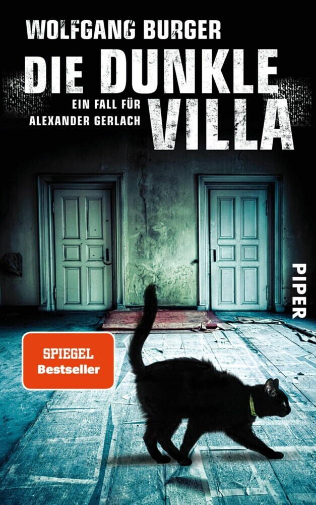 Die dunkle Villa main product photo