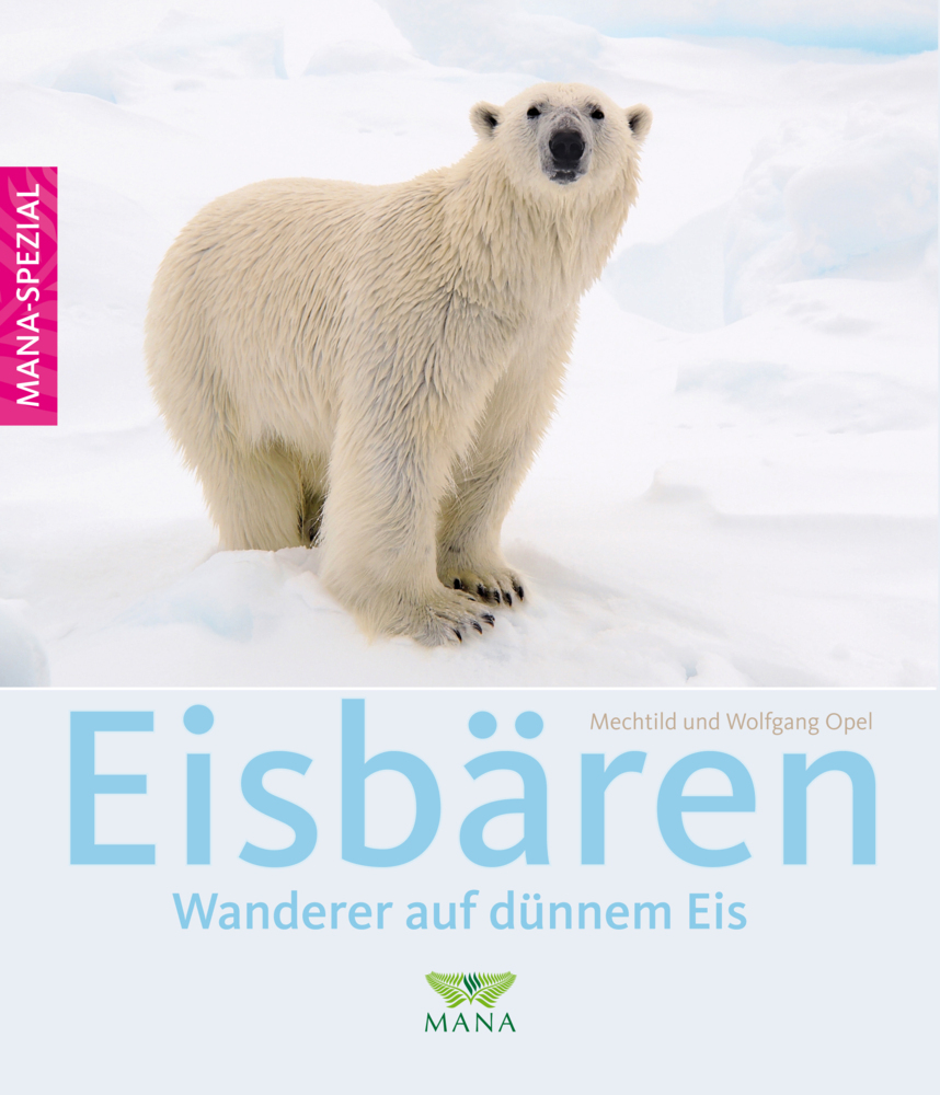 Eisbären main product photo