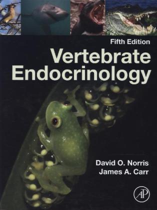Vertebrate Endocrinology main product photo