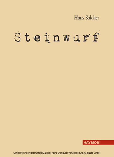Steinwurf main product photo