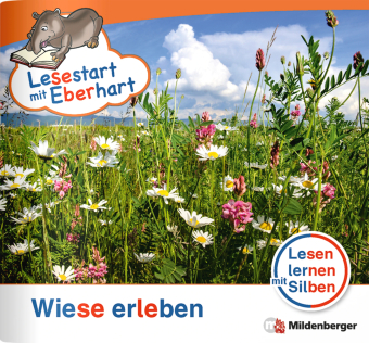 Wiese erleben
