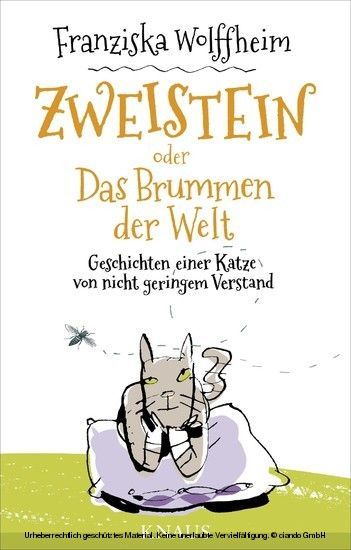 Zweistein oder Das Brummen der Welt main product photo