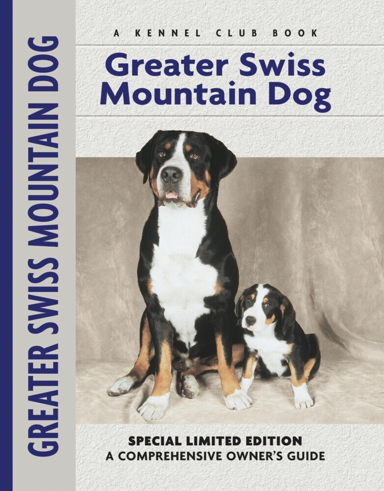 Greater Swiss Mountain Dog main product photo