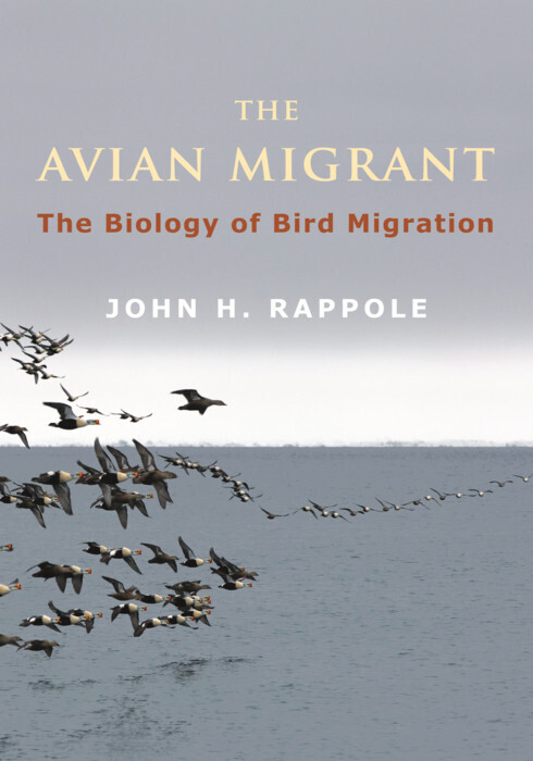 The Avian Migrant main product photo