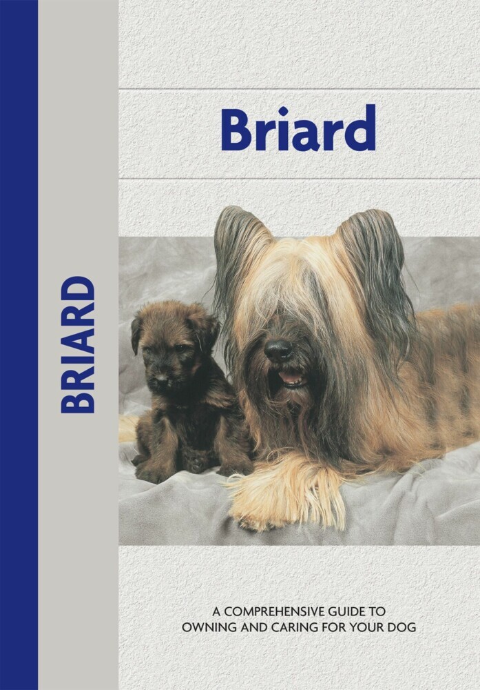 Briard main product photo