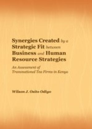 Synergies Created by a Strategic Fit between Business and Human Resource Strategies