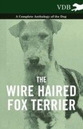 Wire Haired Fox Terrier - A Complete Anthology of the Dog