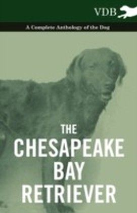 Chesapeake Bay Retriever - A Complete Anthology of the Dog -