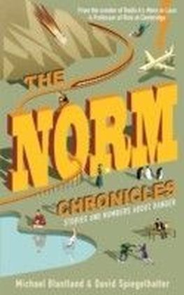 Norm Chronicles main product photo
