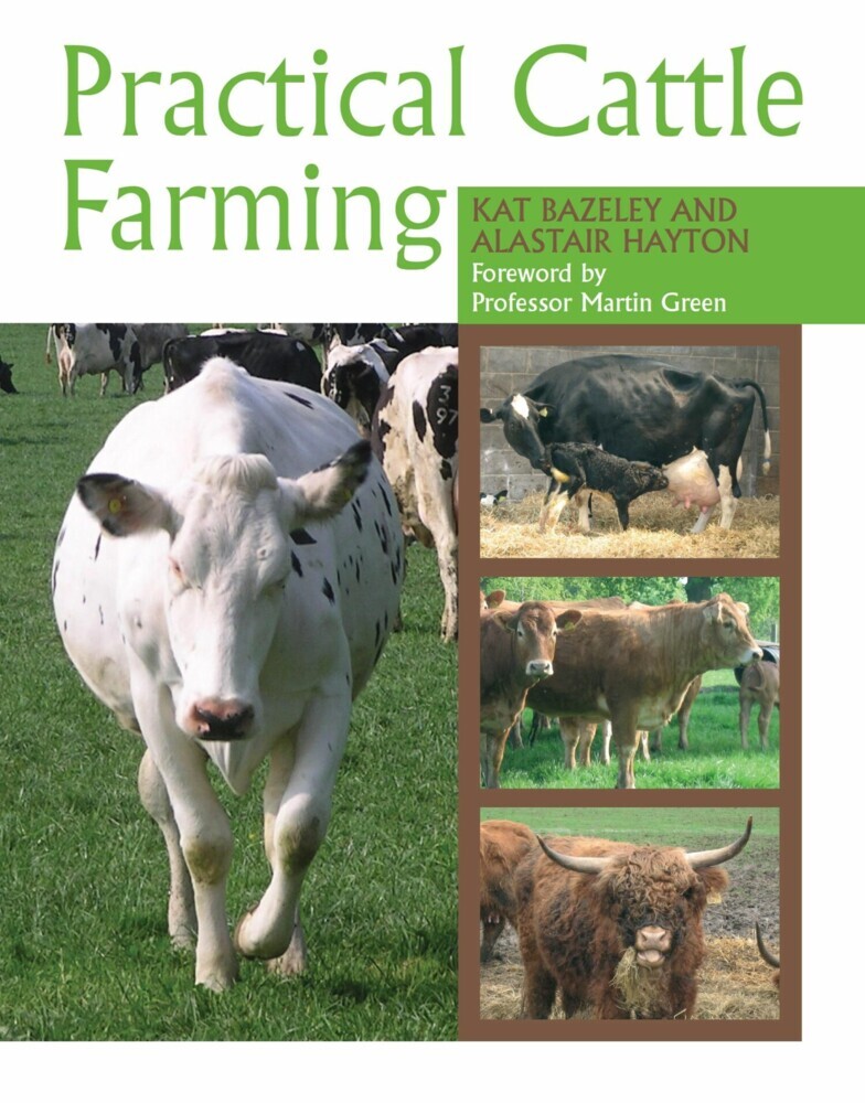 Practical Cattle Farming main product photo