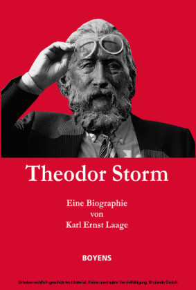 Theodor Storm. Eine Biographie