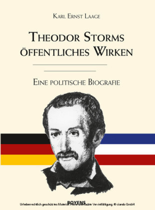 Theodor Storms öffentliches Wirken