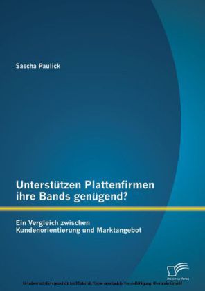 Unterstützen Plattenfirmen ihre Bands genügend? Ein Vergleich zwischen Kundenorientierung und Marktangebot