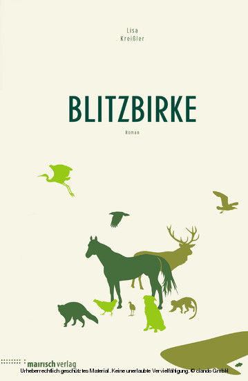 Blitzbirke main product photo