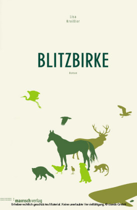 Blitzbirke