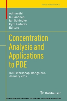Concentration Analysis and Applications to PDE