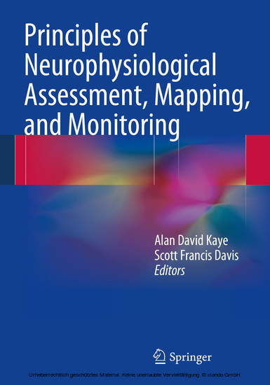 Principles of Neurophysiological Assessment, Mapping, and Monitoring main product photo