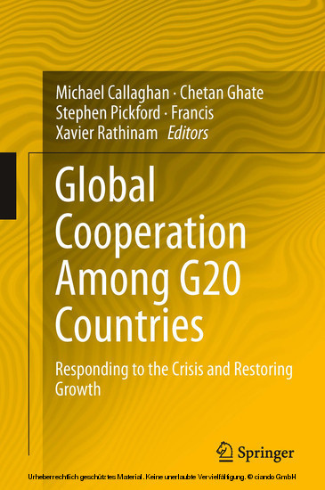 Global Cooperation Among G20 Countries main product photo