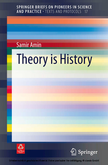 Theory is History main product photo