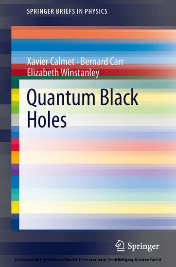Quantum Black Holes main product photo