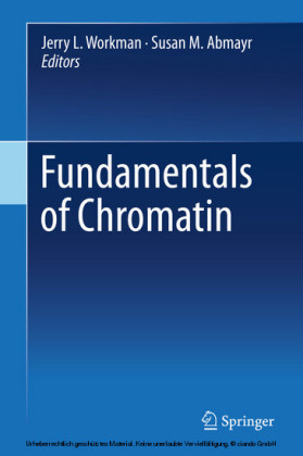 Fundamentals of Chromatin