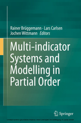 Multi-indicator Systems and Modelling in Partial Order
