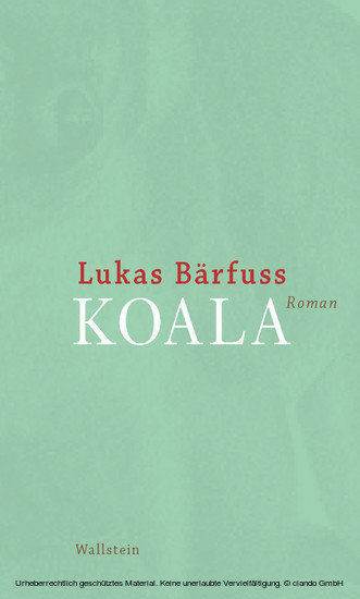 Koala main product photo