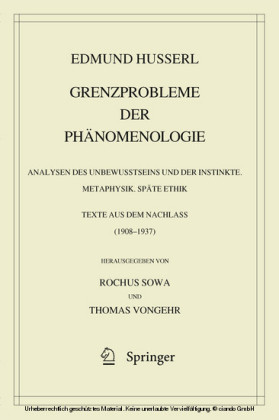 Grenzprobleme der Phänomenologie