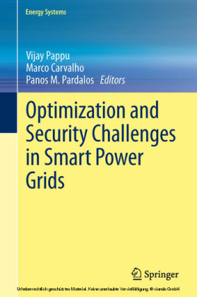 Optimization and Security Challenges in Smart Power Grids