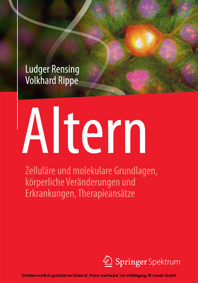 Altern main product photo