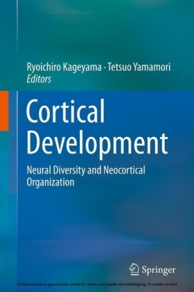 Cortical Development