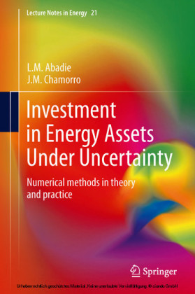Investment in Energy Assets Under Uncertainty