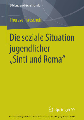 Die soziale Situation jugendlicher 'Sinti und Roma'