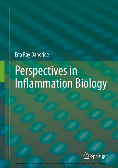 Perspectives in Inflammation Biology main product photo