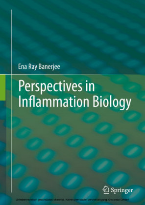 Perspectives in Inflammation Biology