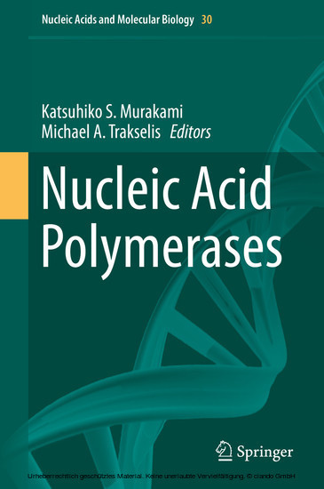 Nucleic Acid Polymerases main product photo