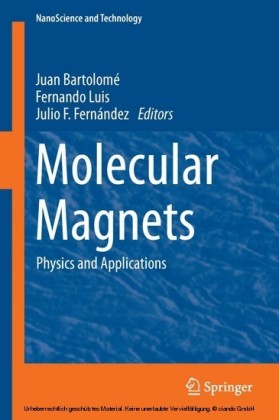 Molecular Magnets