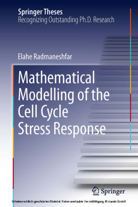 Mathematical Modelling of the Cell Cycle Stress Response