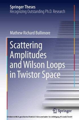 Scattering Amplitudes and Wilson Loops in Twistor Space