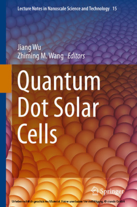 Quantum Dot Solar Cells