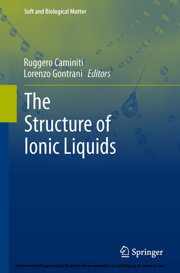 The Structure of Ionic Liquids main product photo