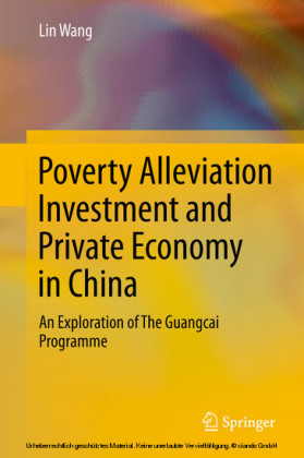 Poverty Alleviation Investment and Private Economy in China
